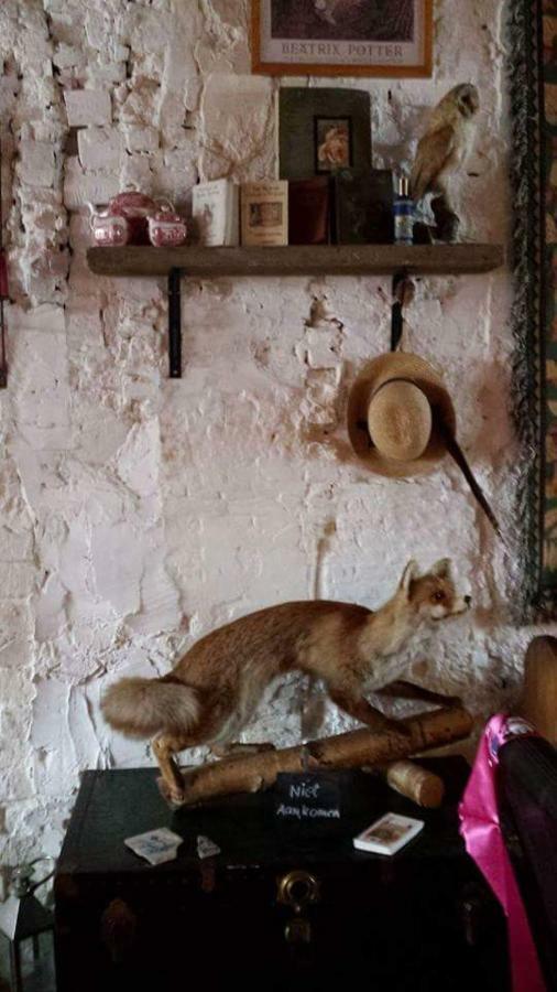 Dirksland De Snoeperij Bed & Breakfast エクステリア 写真