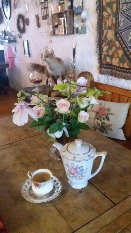 Dirksland De Snoeperij Bed & Breakfast エクステリア 写真